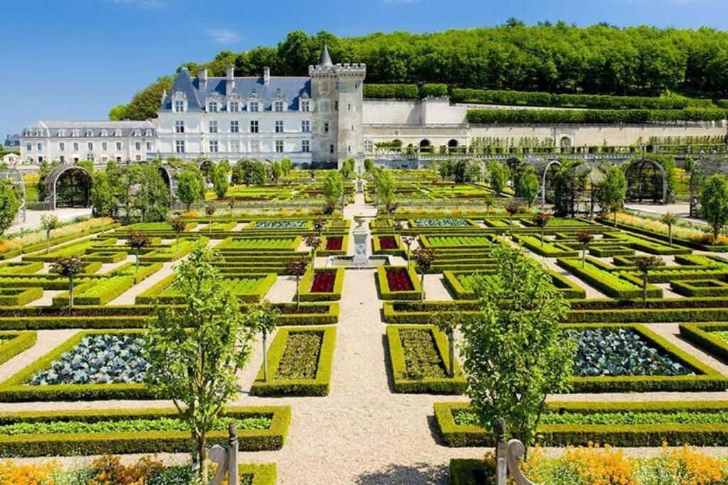Amalouyse Studio De Charme Au Coeur Des Chateaux De Loire Montlouis-sur-Loire Exteriör bild